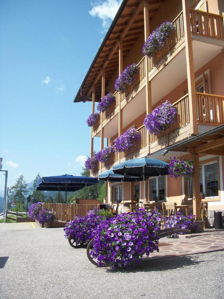 Hotel Vallechiara Moena Eksteriør bilde